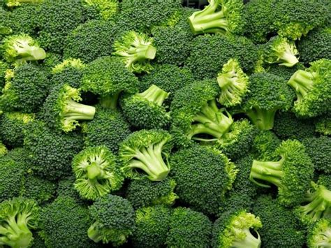 brokoli hangi mevsimde olur